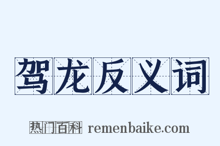 驾龙反义词是什么意思的图片